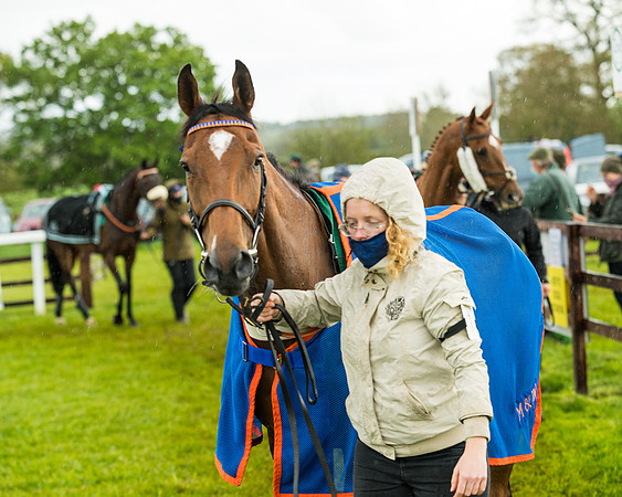 Race 5 - Restricted  (39 of 251)
