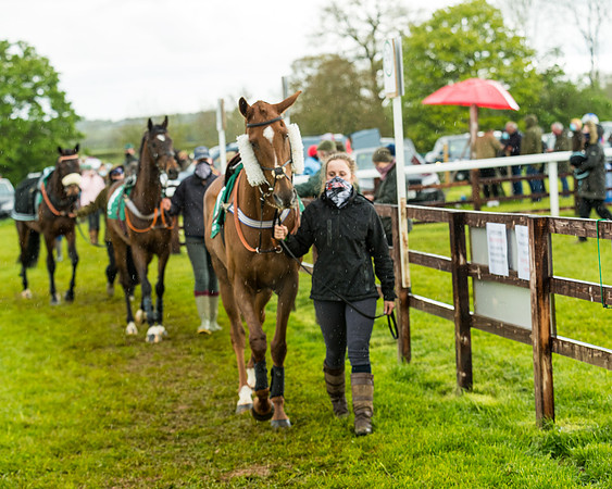 Race 5 - Restricted  (40 of 251)