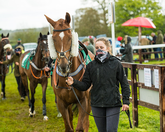 Race 5 - Restricted  (41 of 251)