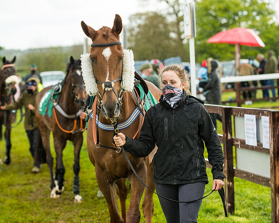 Race 5 - Restricted  (42 of 251)