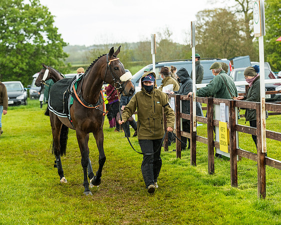 Race 5 - Restricted  (43 of 251)