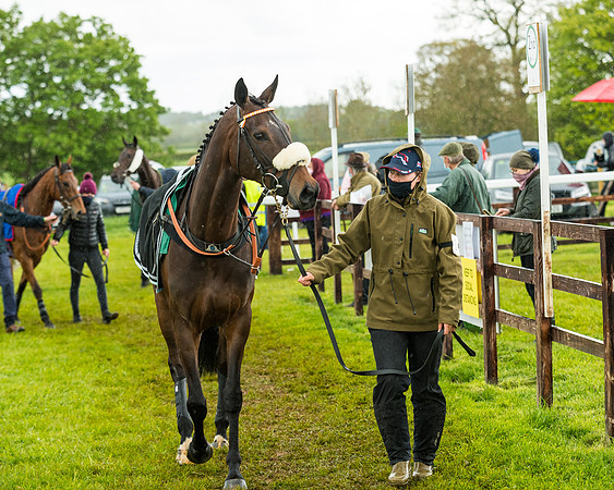 Race 5 - Restricted  (44 of 251)