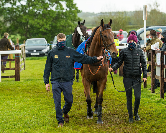 Race 5 - Restricted  (46 of 251)