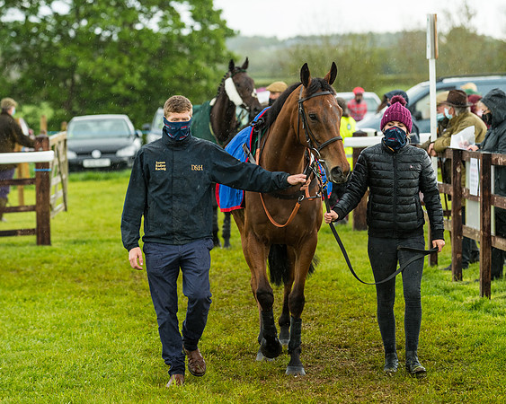 Race 5 - Restricted  (47 of 251)