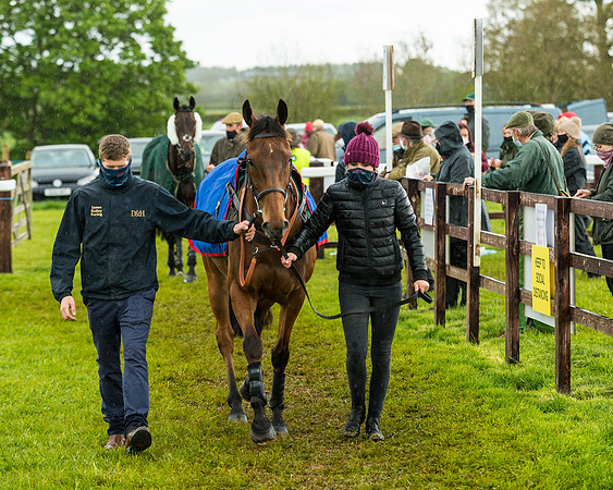 Race 5 - Restricted  (48 of 251)
