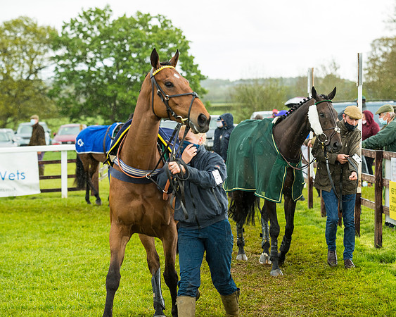 Race 5 - Restricted  (49 of 251)