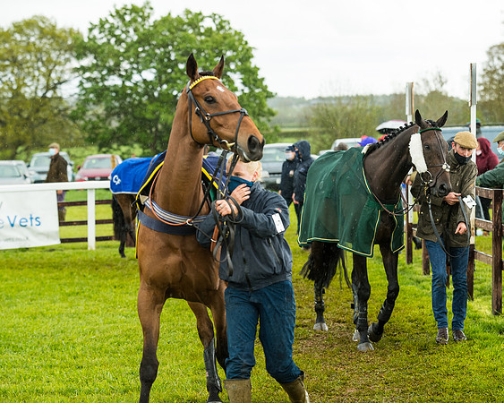 Race 5 - Restricted  (50 of 251)
