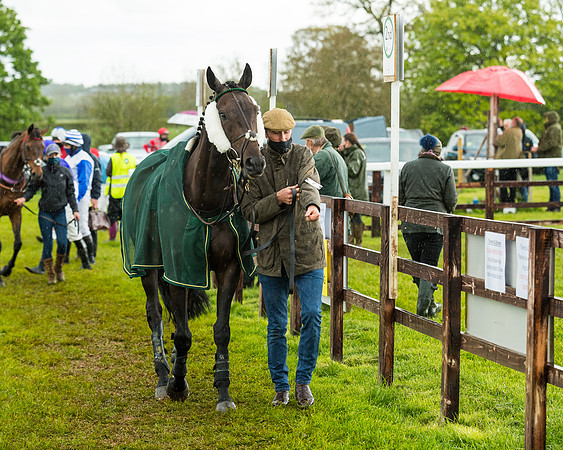 Race 5 - Restricted  (51 of 251)