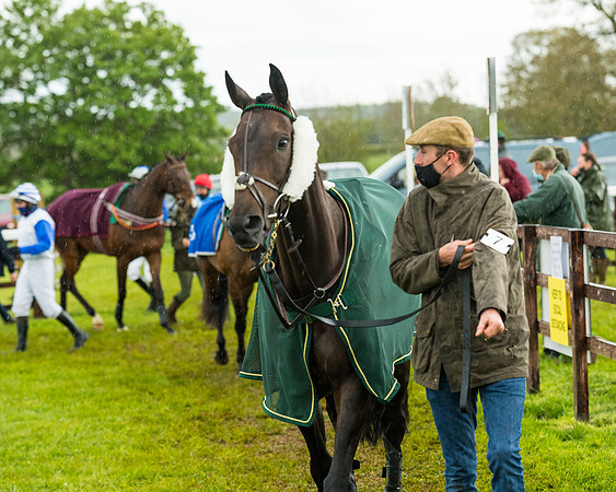 Race 5 - Restricted  (52 of 251)