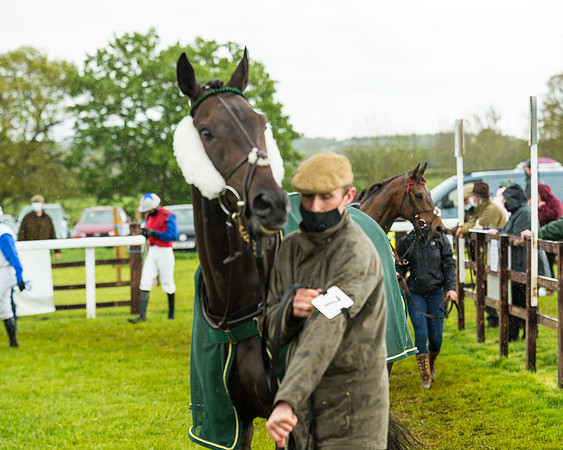 Race 5 - Restricted  (53 of 251)