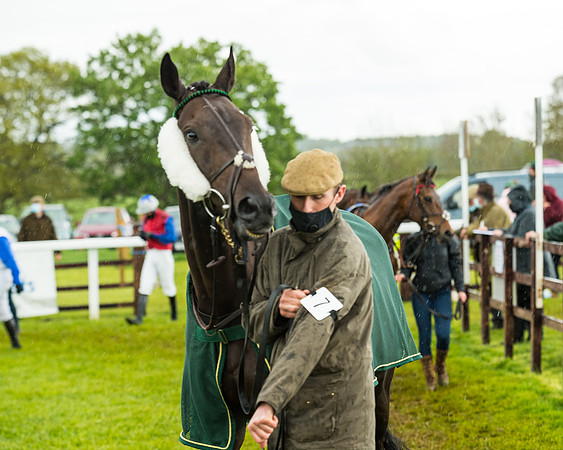 Race 5 - Restricted  (54 of 251)