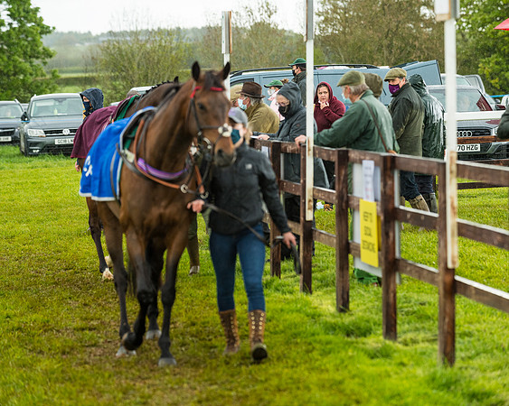 Race 5 - Restricted  (55 of 251)