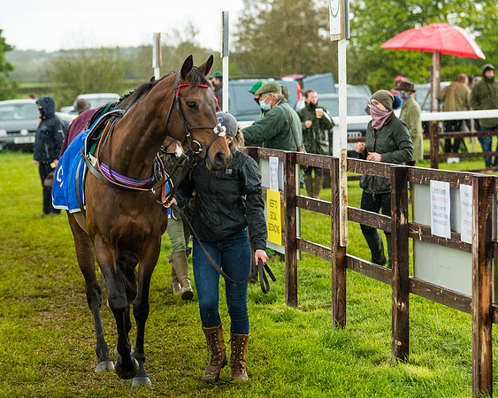 Race 5 - Restricted  (56 of 251)