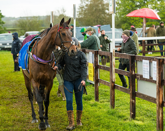 Race 5 - Restricted  (57 of 251)