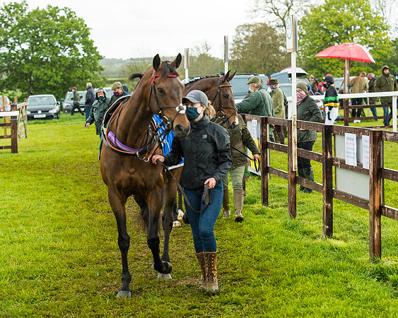 Race 5 - Restricted  (58 of 251)