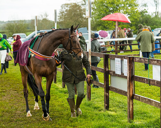 Race 5 - Restricted  (59 of 251)