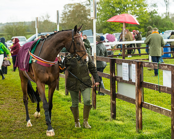 Race 5 - Restricted  (60 of 251)