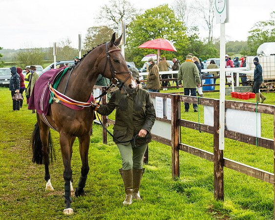 Race 5 - Restricted  (61 of 251)