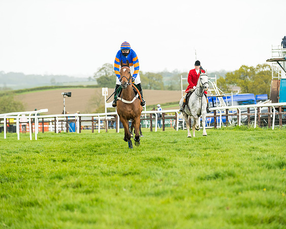 Race 5 - Restricted  (63 of 251)