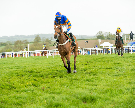 Race 5 - Restricted  (65 of 251)