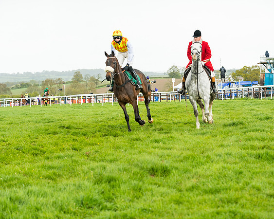 Race 5 - Restricted  (69 of 251)