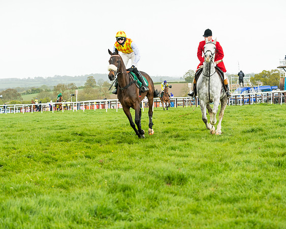 Race 5 - Restricted  (70 of 251)