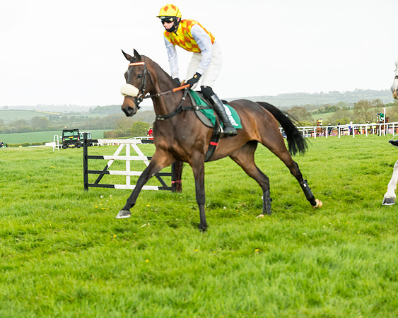 Race 5 - Restricted  (71 of 251)