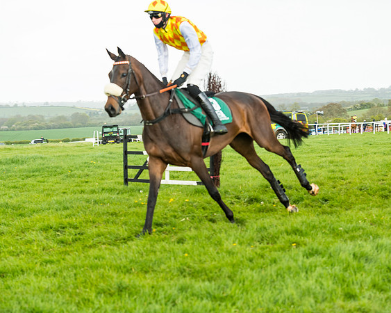 Race 5 - Restricted  (72 of 251)