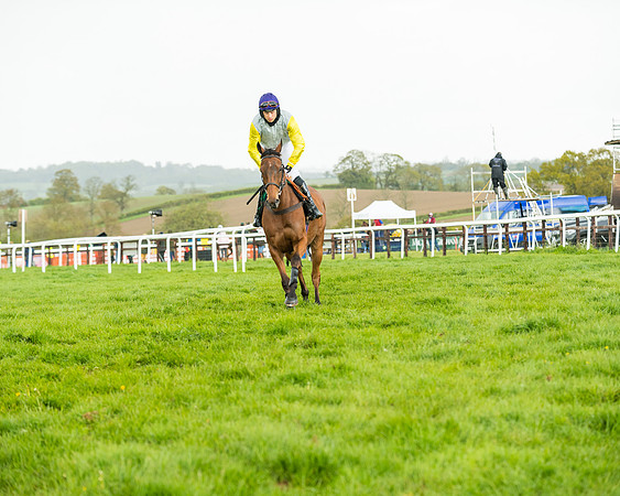 Race 5 - Restricted  (73 of 251)
