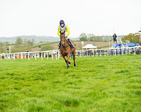 Race 5 - Restricted  (74 of 251)