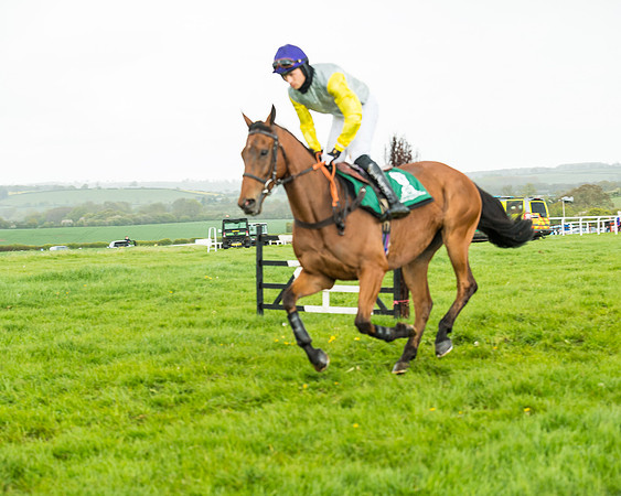 Race 5 - Restricted  (76 of 251)