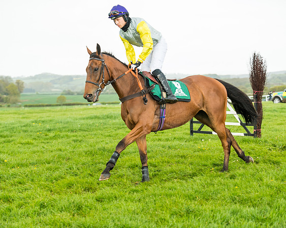Race 5 - Restricted  (77 of 251)