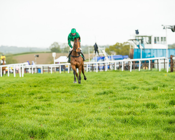 Race 5 - Restricted  (78 of 251)