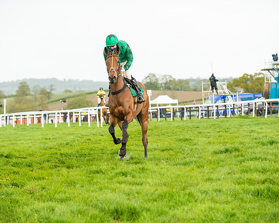 Race 5 - Restricted  (79 of 251)