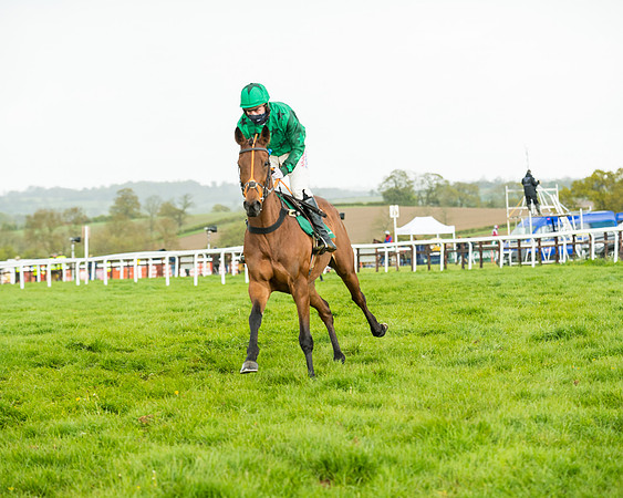 Race 5 - Restricted  (81 of 251)