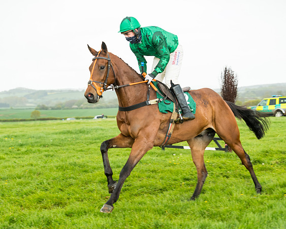 Race 5 - Restricted  (82 of 251)
