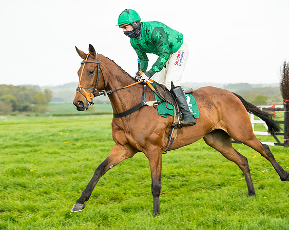 Race 5 - Restricted  (83 of 251)