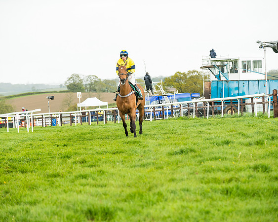 Race 5 - Restricted  (84 of 251)