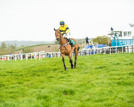 Race 5 - Restricted  (85 of 251)