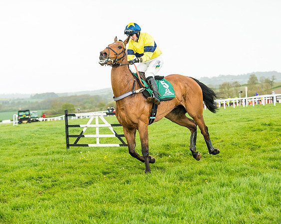 Race 5 - Restricted  (86 of 251)
