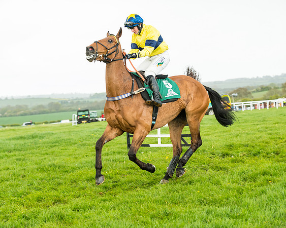 Race 5 - Restricted  (87 of 251)