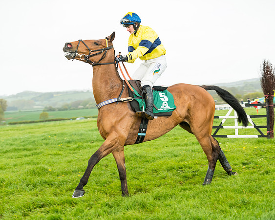 Race 5 - Restricted  (88 of 251)