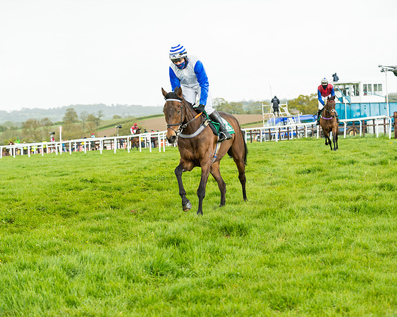 Race 5 - Restricted  (89 of 251)