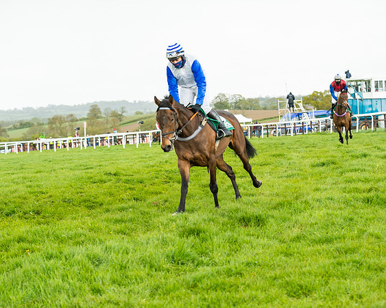 Race 5 - Restricted  (90 of 251)