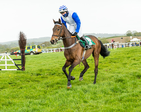 Race 5 - Restricted  (91 of 251)