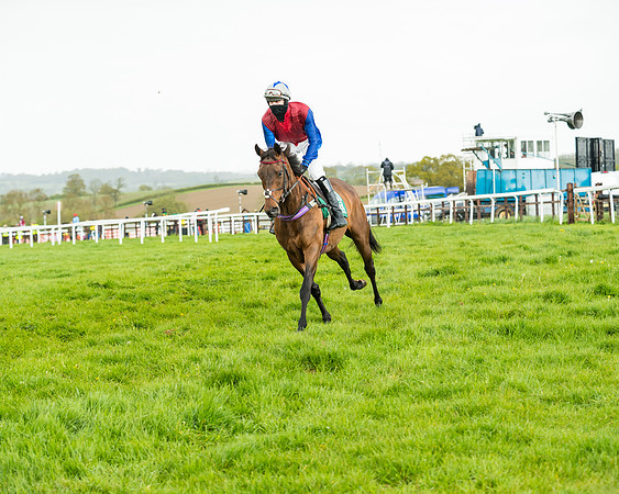Race 5 - Restricted  (92 of 251)