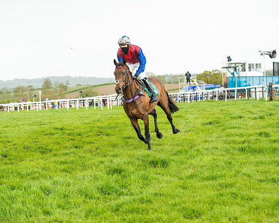 Race 5 - Restricted  (93 of 251)
