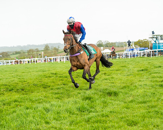 Race 5 - Restricted  (94 of 251)