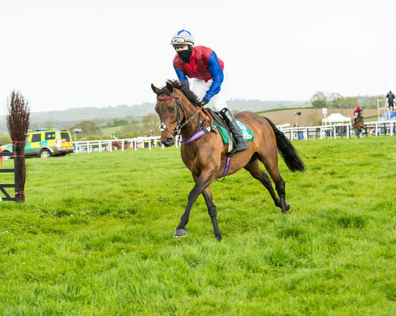 Race 5 - Restricted  (95 of 251)