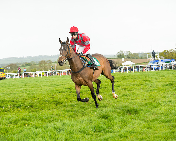 Race 5 - Restricted  (96 of 251)